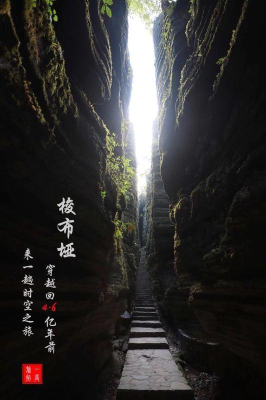 脑洞小老弟无实名认证