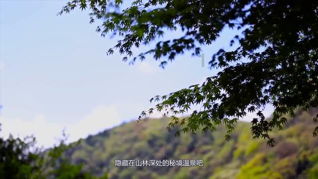 照顾可爱小公主