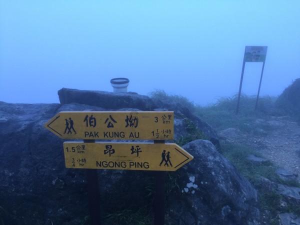 极限巅峰