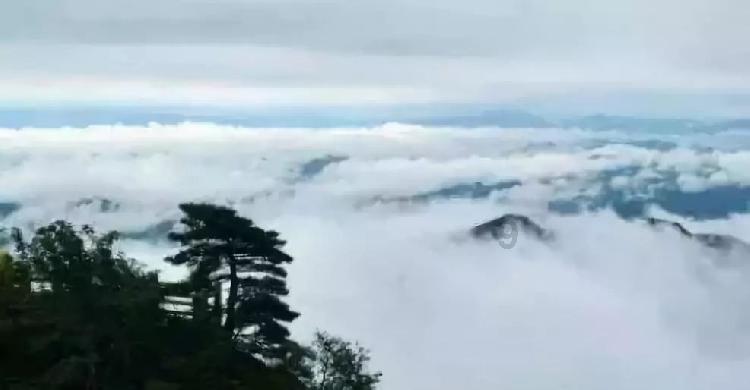 长沙上线无障碍急救平台,听障人士也可以呼叫120
