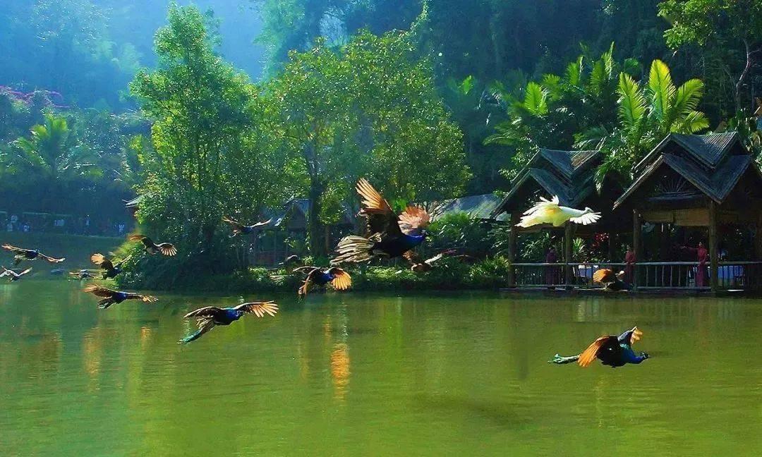 卫生资格考试撤回信息提交-专业知识星球平台