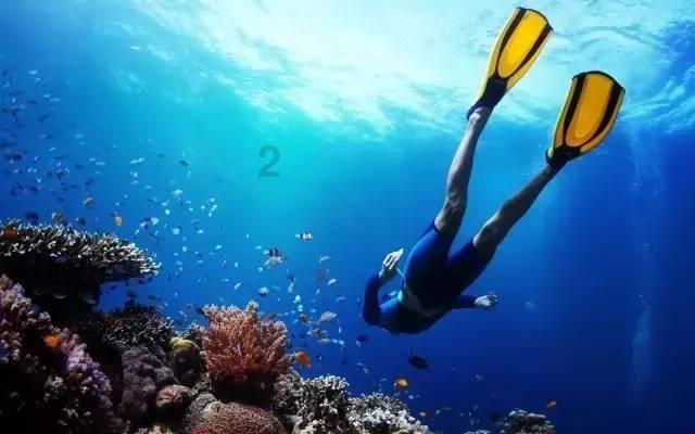 2023旅游水路地图&旅游-减少淡水使用和建立水抗性的概述和行动框架(附下载)