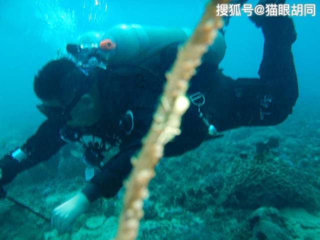 具俊晔称娶到大S很幸运，为何大S要选择他呢？游戏画面