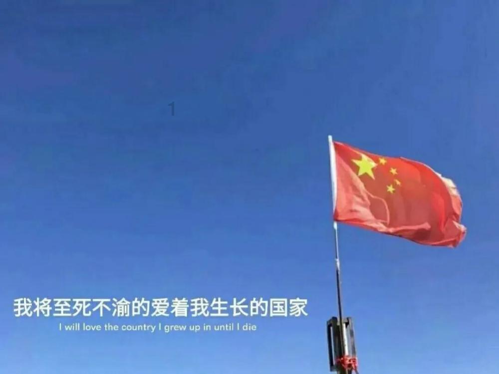 美白的植物成分游戏画面