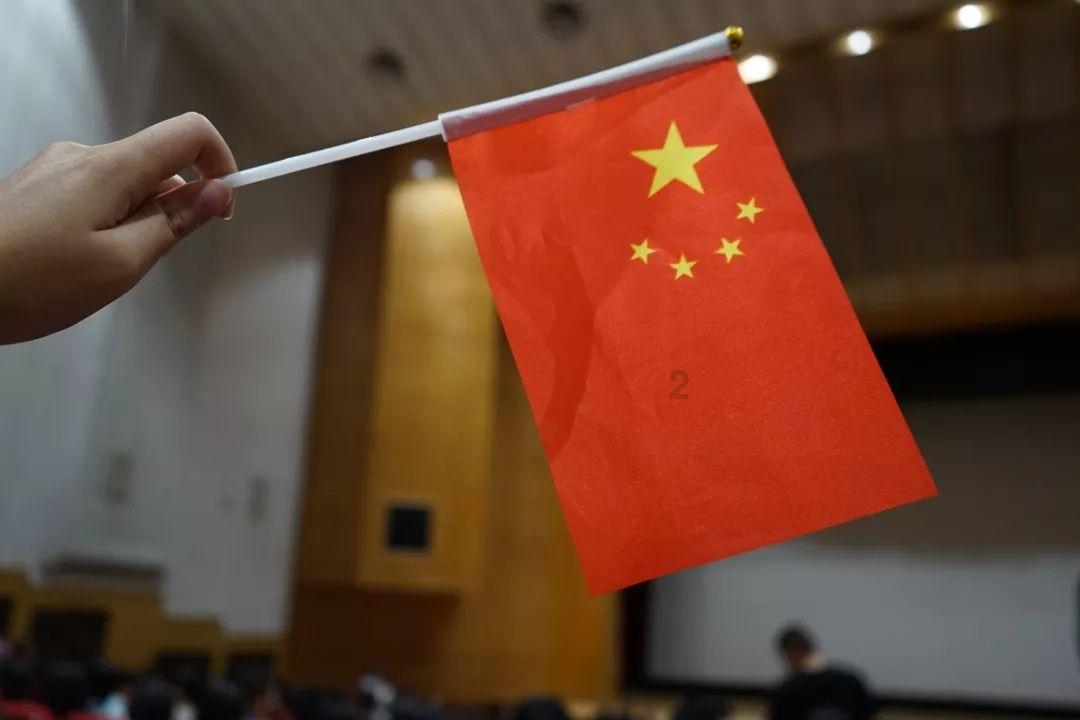 寻找萌宠松鼠