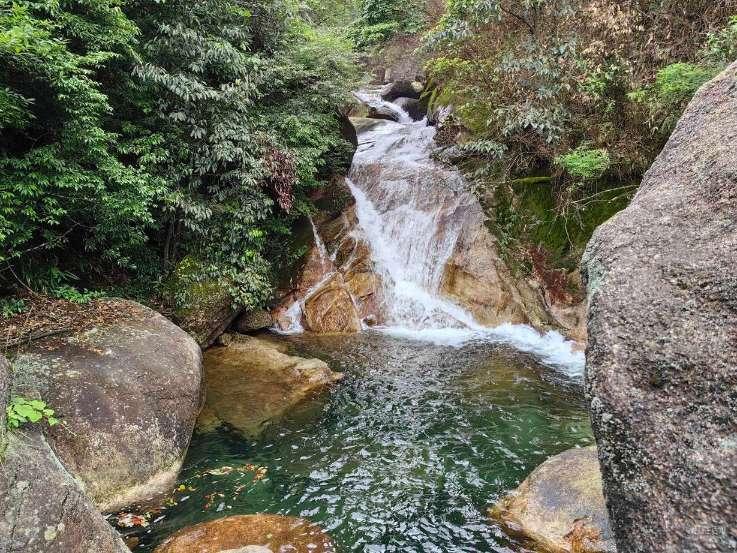 梦想的后院