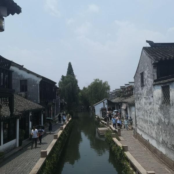 植物大战僵尸18